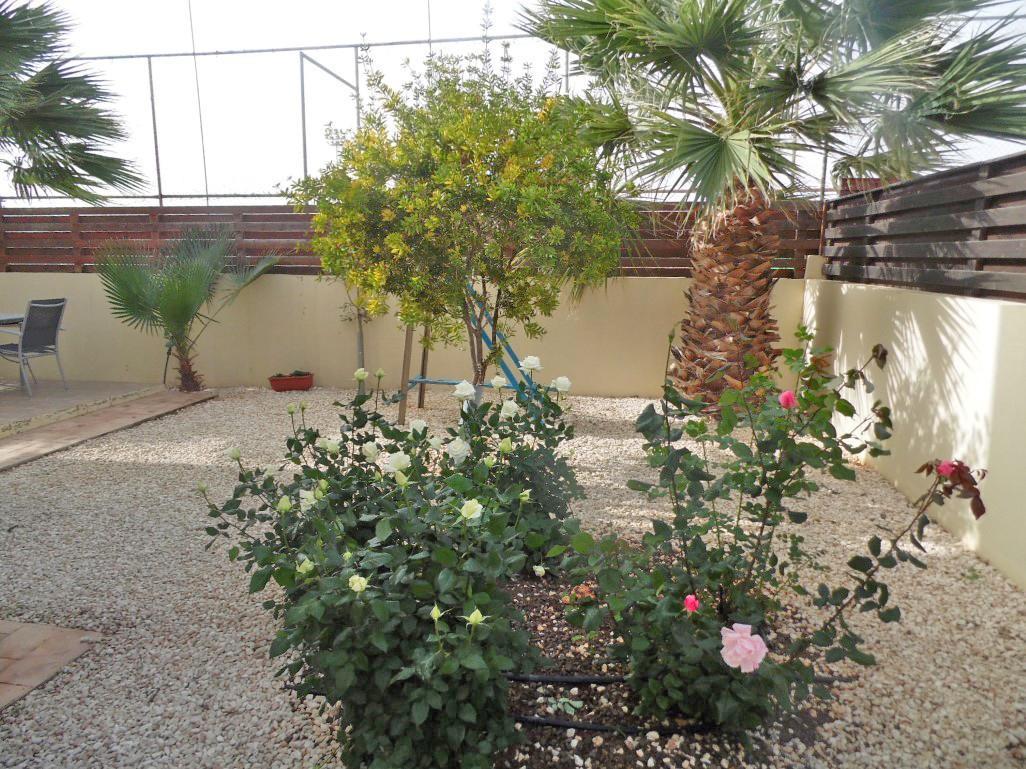 Villa Favor - 3 Bed With Pool Close To Nissi Beach Aya Napa Dış mekan fotoğraf